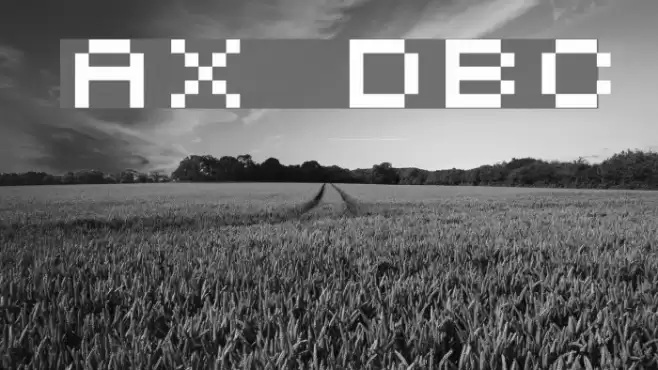 AuX DotBitC Polices examples