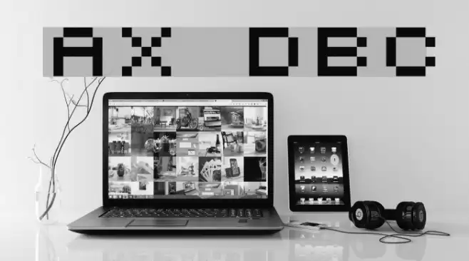 AuX DotBitC Polices examples