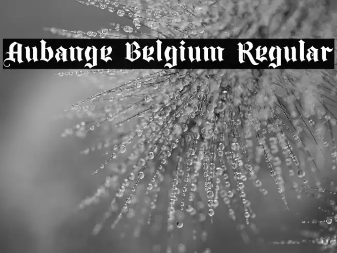 Aubange Belgium Regular Font examples