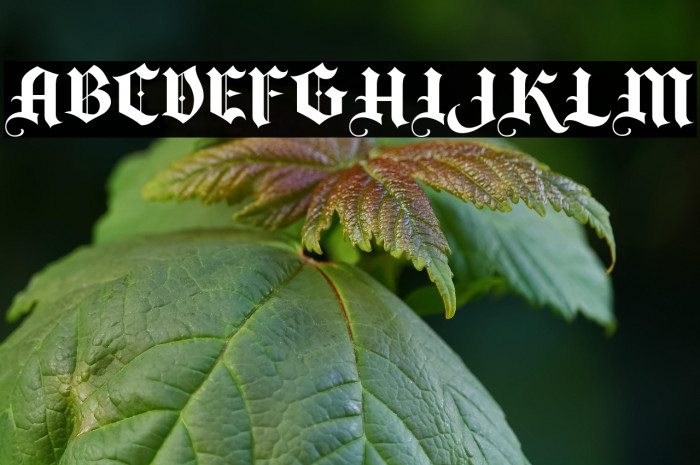 AubangeBelgium-Regular Example 1