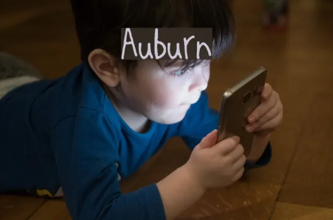 Auburn Example 1