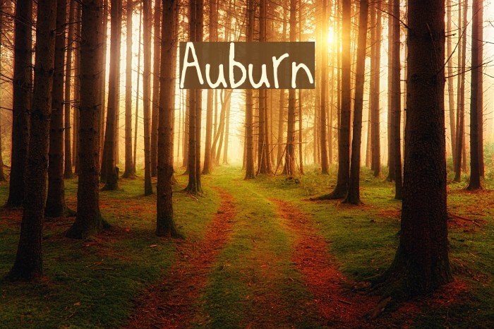 Auburn Font examples