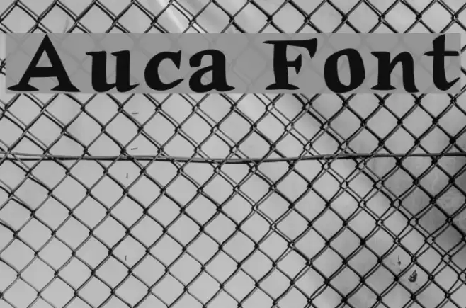 Auca Font examples