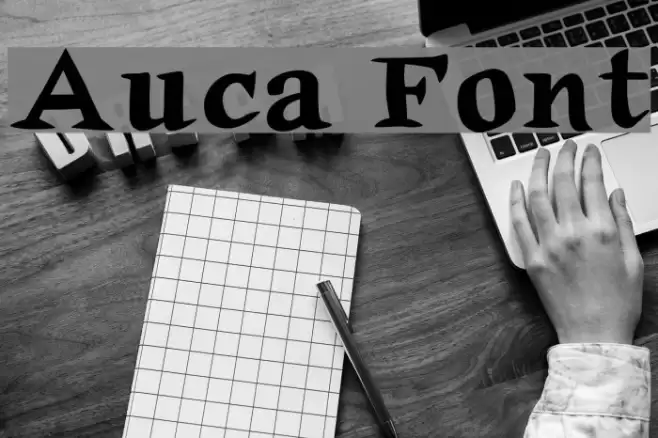 Auca Font examples
