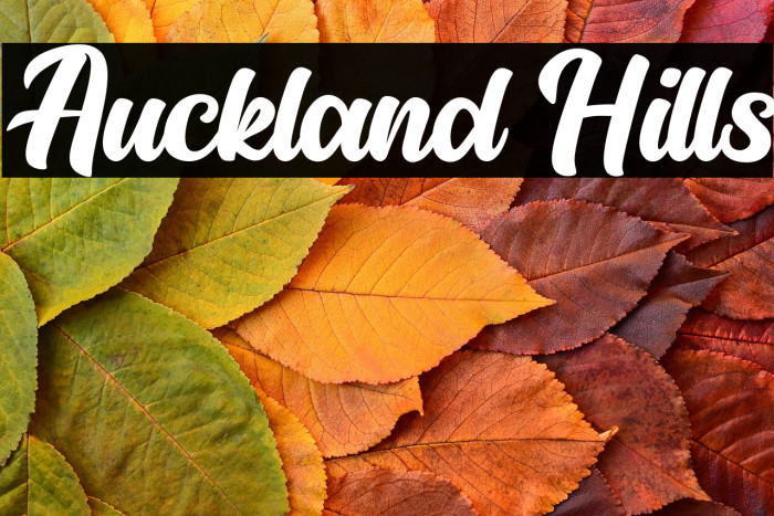 Auckland Hills Example 2