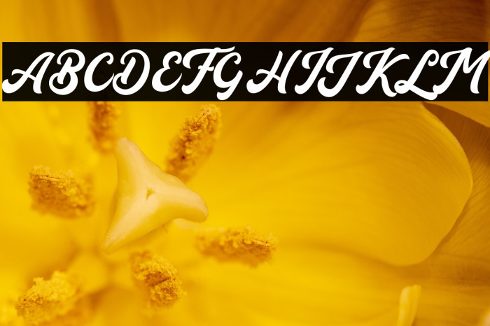 AucklandScriptFree Example 3