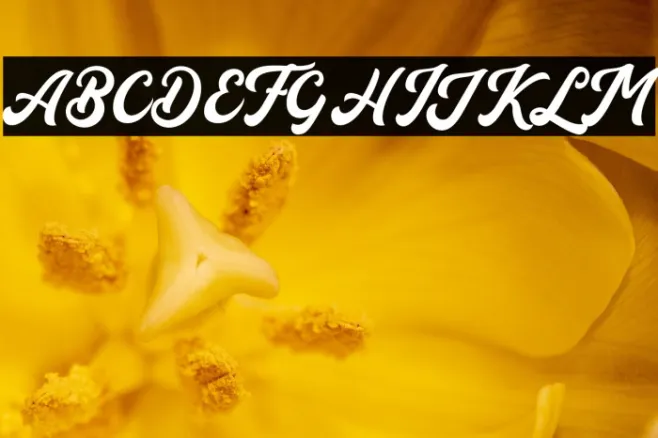 AucklandScriptFree Example 3