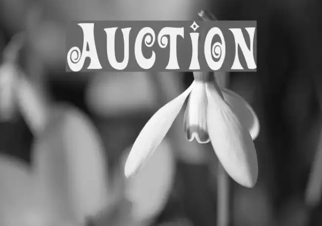 Auction Font examples
