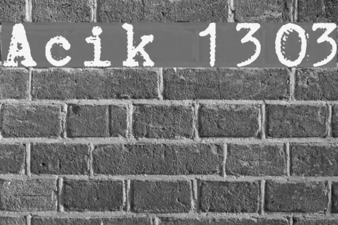 Aucznik 1303 Polices examples