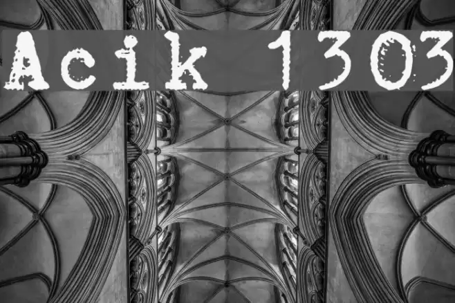 Aucznik 1303 Polices examples