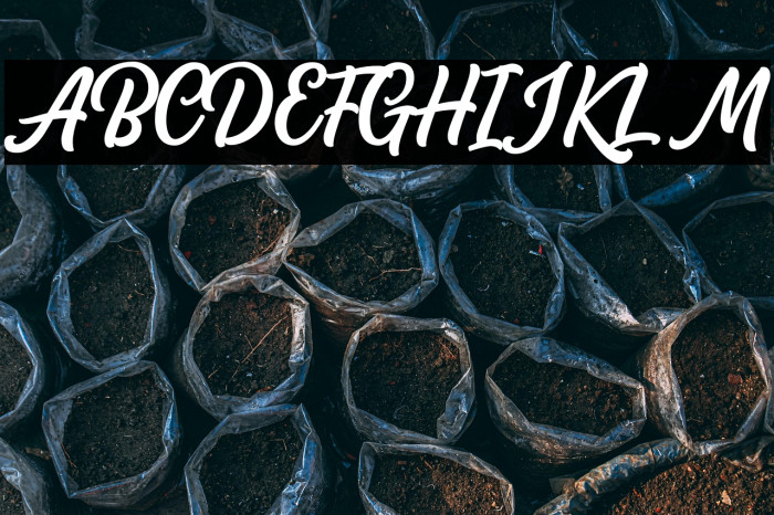 AudacityScriptDEMO Example 1