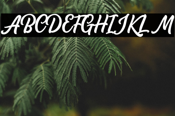 AudacityScriptDEMO Example 2