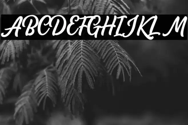 AudacityScriptDEMO Font examples