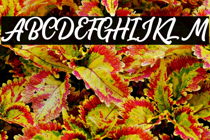 AudacityScriptDEMO Example 3