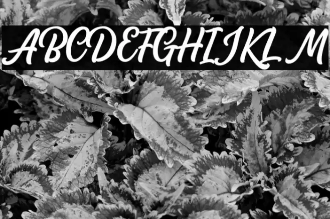 AudacityScriptDEMO Font examples