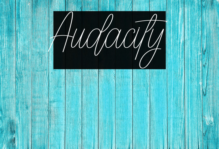 Audacity Example 3