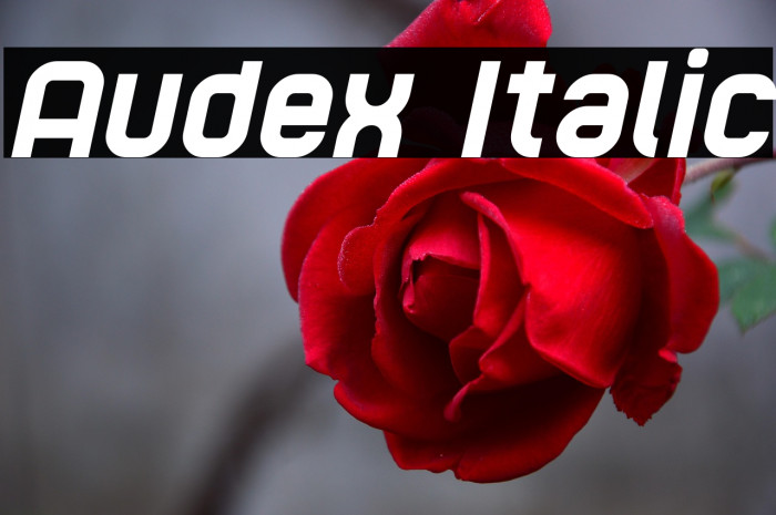 Audex Italic Example 1