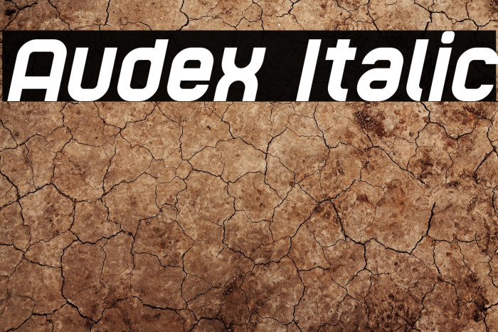 Audex Italic Example 2