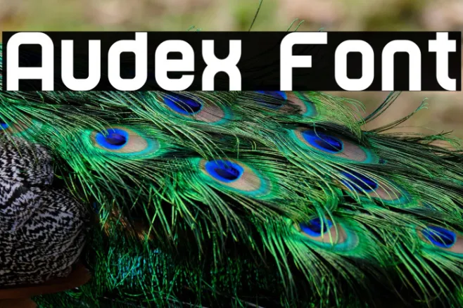 Audex Example 1