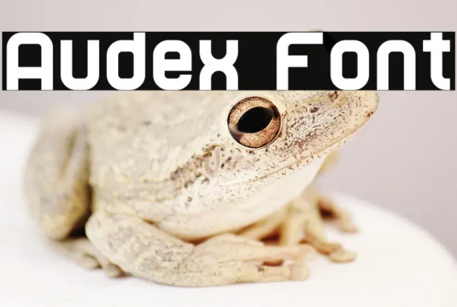 Audex Example 3