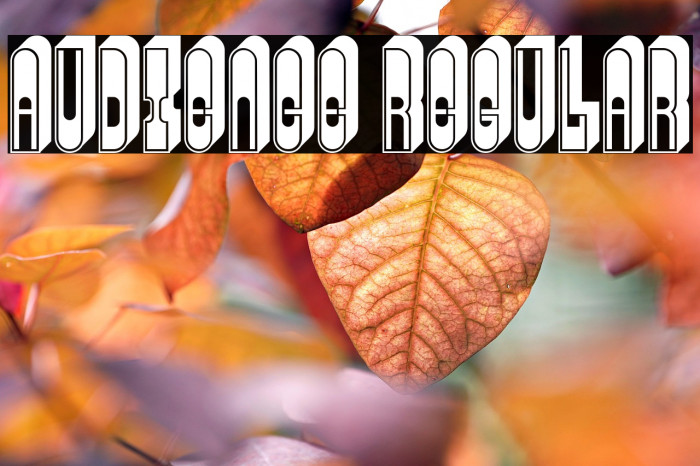 Audience Regular Example 1