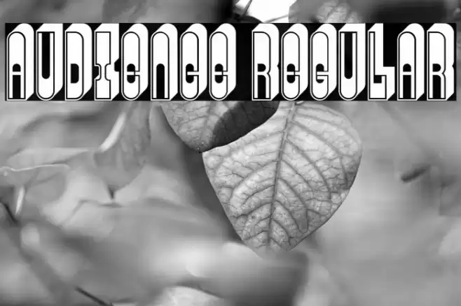 Audience Regular Font examples