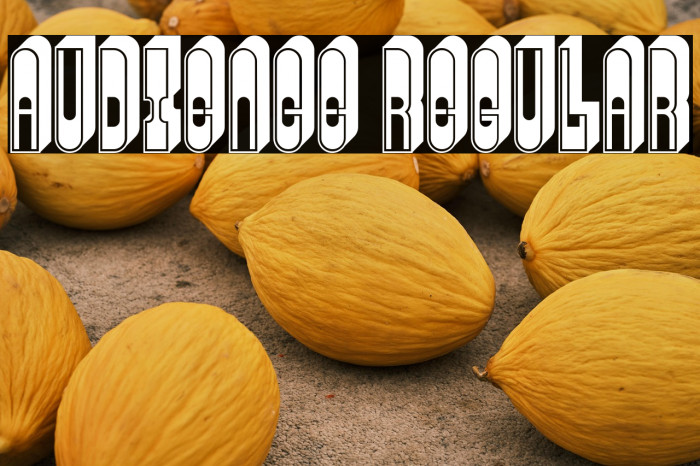 Audience Regular Example 2