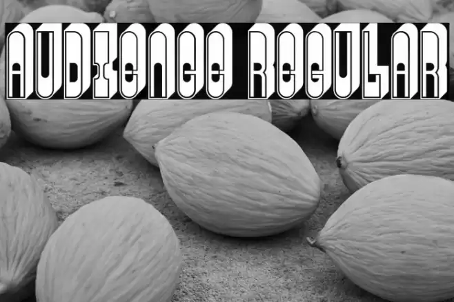 Audience Regular Font examples