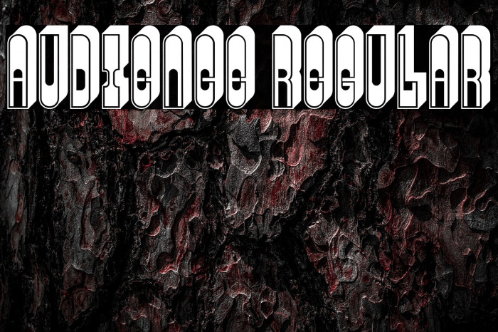 Audience Regular Example 3