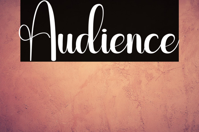 Audience Example 1