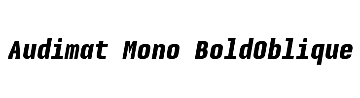 Audimat Mono BoldOblique Fonte