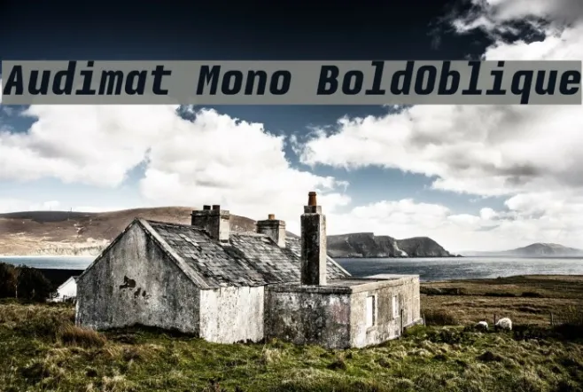 Audimat Mono BoldOblique Example 1