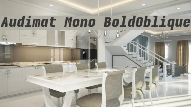 Audimat Mono BoldOblique Example 2
