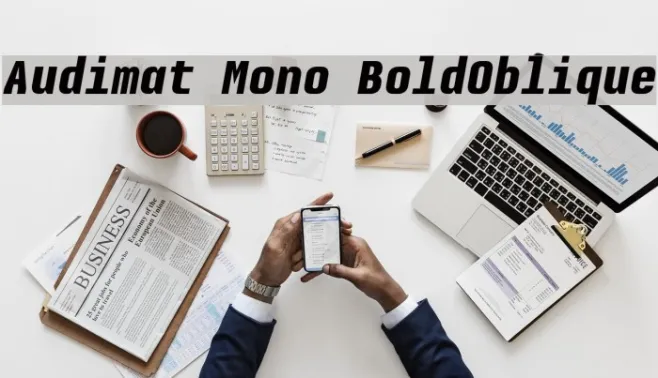 Audimat Mono BoldOblique Example 3