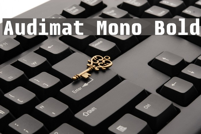 Audimat Mono Bold Font examples