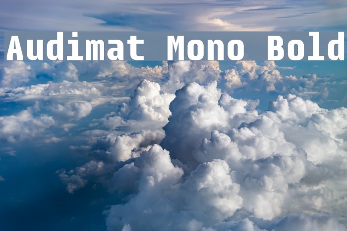 Audimat Mono Bold Font examples
