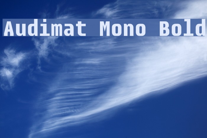 Audimat Mono Bold Font examples