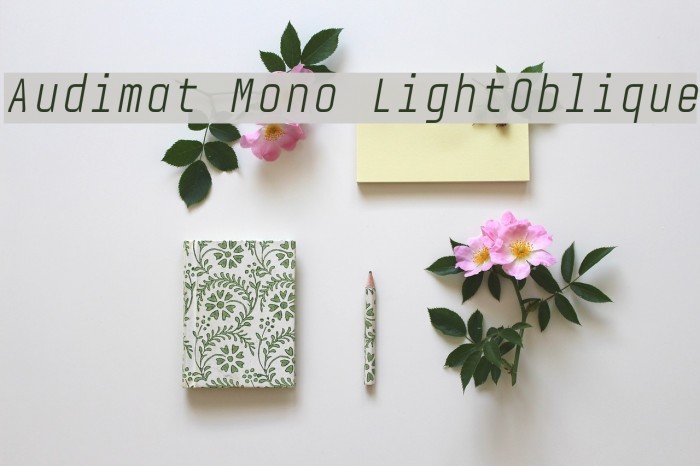 Audimat Mono LightOblique Example 1