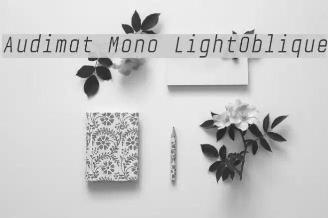 Audimat Mono LightOblique Font examples