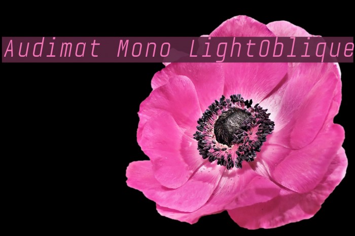 Audimat Mono LightOblique Example 3
