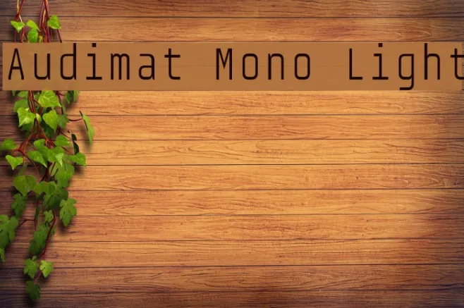 Audimat Mono Light Example 2