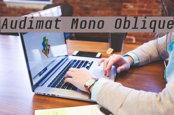 Audimat Mono Oblique Font examples