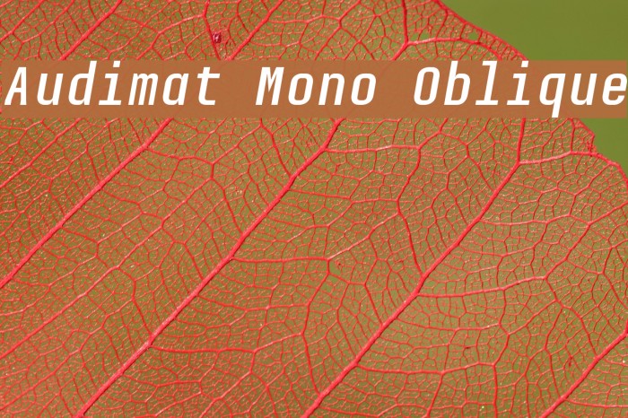 Audimat Mono Oblique Font examples