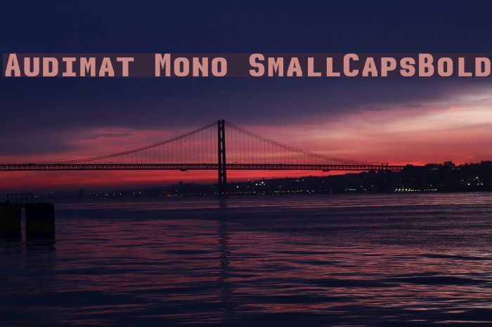 Audimat Mono SmallCapsBold Example 1