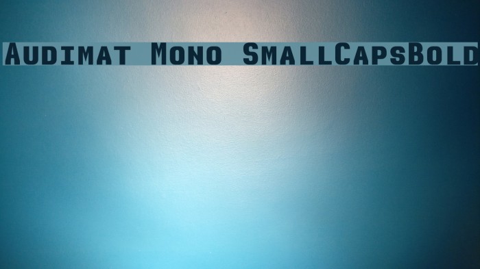Audimat Mono SmallCapsBold Example 2