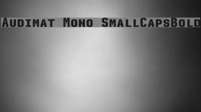Audimat Mono SmallCapsBold Font examples