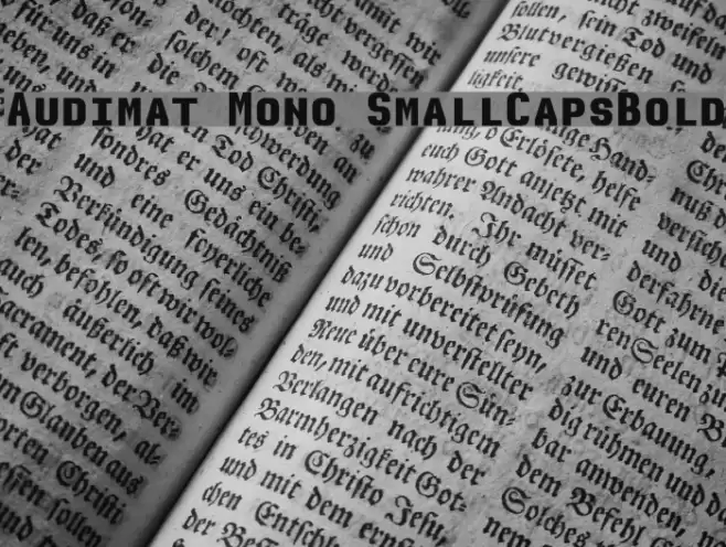 Audimat Mono SmallCapsBold Font examples