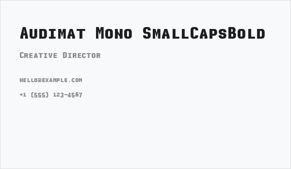 Audimat Mono SmallCapsBold Business Card