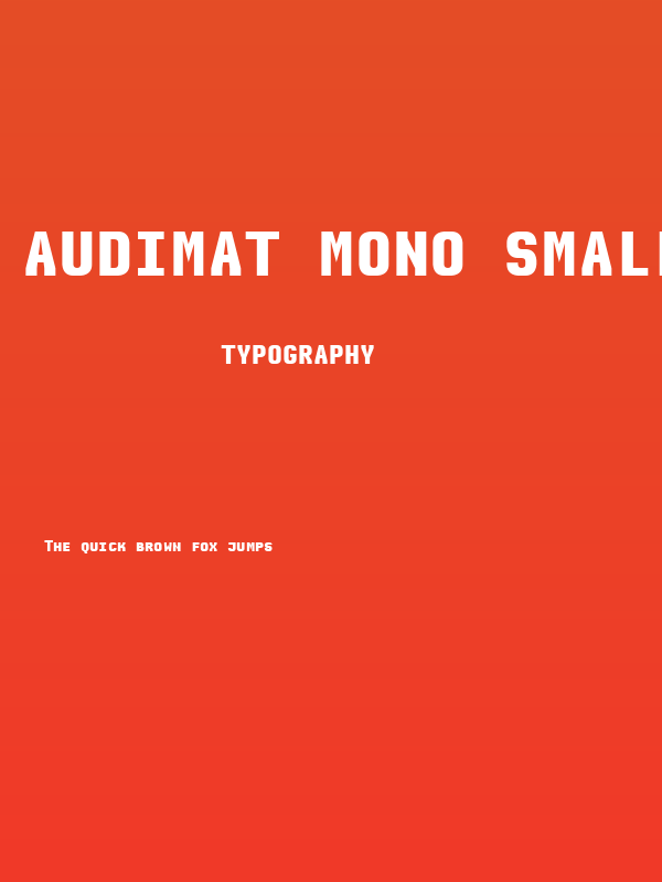 Audimat Mono SmallCapsBold Poster