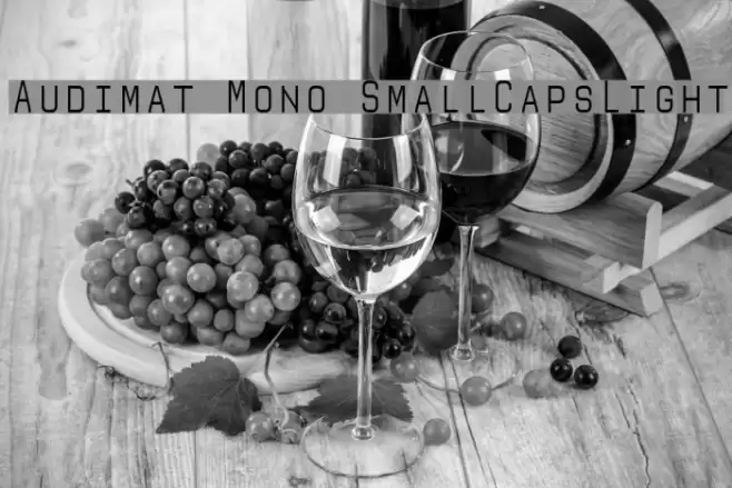 Audimat Mono SmallCapsLight फ़ॉन्ट examples